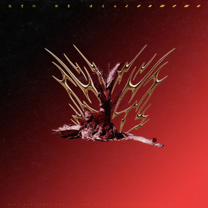 人妻无码中文字幕免费视频一区
