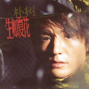 人妻无码中文字幕免费视频一区
